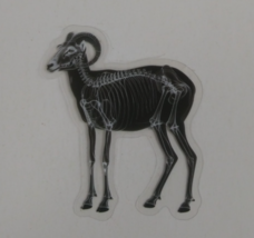 Ram X-Ray Transparent Sticker 2.5&quot; x 2&quot; (O) - $1.64