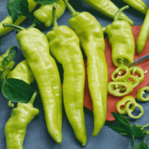 Wild Hot Chili Peppers Seeds,Original Pack, natural health balcony vegetables, 6 - £8.71 GBP