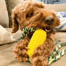 Corn Cob Dog Teeth Cleaning Chew Toy - £19.16 GBP