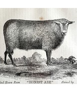 Honest Abe Oxford Down Ram 1863 Victorian Agriculture Animals Art DWZ4A - €42,79 EUR