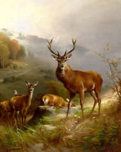 Deers in winter landscape Giclee Art Oil painting HD printed on canvas - £6.86 GBP+