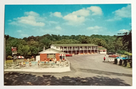 Rip Van Winkle Motel &amp; Restaurant Pool Old Cars Catskill NY UNP Postcard c1960s - £6.33 GBP