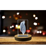 LED Base included | Stunning Junonia Seashell Engraved Crystal Sculpture - $25.99+
