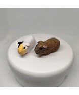 Polymer Clay Guinea Pigs, Personal Guinea Pig statue, Gifts for Guinea P... - $19.99