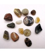 Polished Stones - Jewelry Making / Collecting Lot - $272.41 MXN