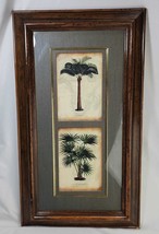Palm Tree Art Botanical Framed Print 13" x 23" Wood Frame Livistona Australis - $22.40