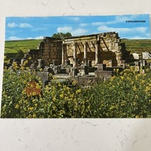 VTG Holy Land Capharnaum Ruins 4x5.75 Postcard Unposted 1980s - See Desc... - £3.18 GBP