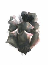 18 Vintage Organza Hat Making Flowers Variegated Pink & Black Unused - $717.19 MXN 18 Vintage Organza Hat Making Flowers Variegated Pink & Black Unused - $717.19 MXN