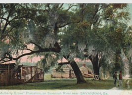 Savannah River Georgia Mulberry Plantation Postcard Rafael Tuck - $11.41