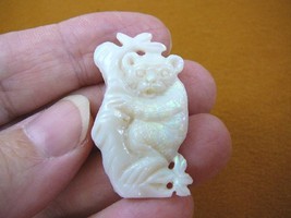 (O-222) little Koala bear 20 carat White Coober Pedy Opal carved I love koalas - £370.04 GBP