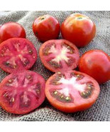 50 Seeds Betalux Tomato Vegetable Fresh Seeds - $6.55