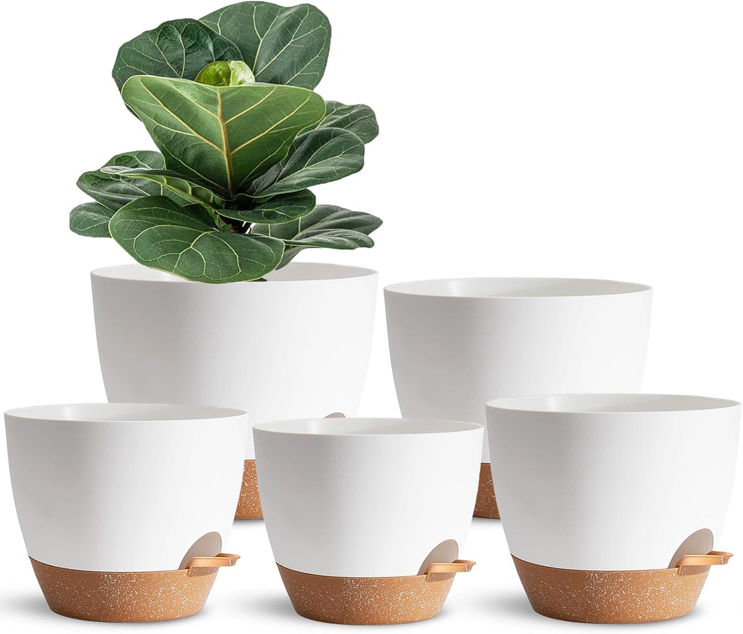 5Pack Self Watering Plant Pots For Lazy People,, Flowers And Cactus - $31.95
