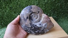 Item image 5