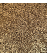 Genuine Japanese Hard Akadama Fines/Dust for Create Kokedama &amp; Moss Ball... - $15.99+