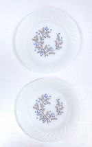 Lot 2 Vtg Termocrisa Mexican Milk Glass 9&quot; Plates Blue &amp; Brown Floral Swirl Edge - £13.27 GBP