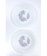 Lot 2 Vtg Termocrisa Mexican Milk Glass 9&quot; Plates Blue &amp; Brown Floral Sw... - £13.15 GBP