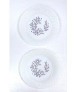 Lot 2 Vtg Termocrisa Mexican Milk Glass 9&quot; Plates Blue &amp; Brown Floral Sw... - $16.65