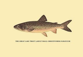 The Great Lake Trout by H.H. Leonard - Art Print - £17.57 GBP+