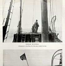 Whaling Dead Whale At Sea 1926 Nautical Antique Print Whale Hunting DWW4B - $183.44 MXN