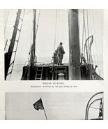 Whaling Dead Whale At Sea 1926 Nautical Antique Print Whale Hunting DWW4B - €8,58 EUR
