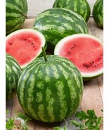 50+ Cal Sweet Bush Watermelon Seeds - $15.37 CAD