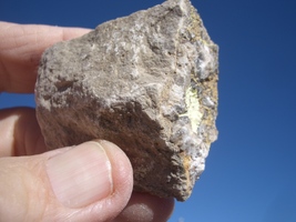 Item image 14