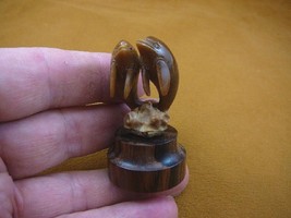 tb-dolph-15) Dolphins pair Dolphin TAGUA NUT palm figurine Bali detailed... - $49.08