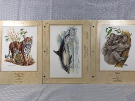 Mammals Cards 45,51, &amp; 29. Bengal Tiger-Reiner Ziegler,Common Dolphin An... - $6.74 CAD