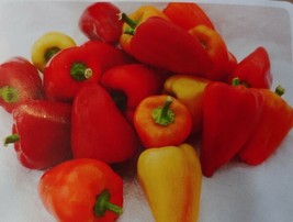 10 Red Belgian Sweet Pepper Seedfreeship Delicious Tasty Fresh Garden - £7.34 GBP