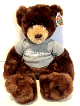Chelsea Teddy Bear Company  Dexter  Dark Brown Gettysburg College Bear P... - £10.97 GBP