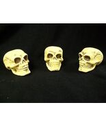 3 pc set of Mini Foam Skulls Creepy Halloween Prop Decor Crafts Mummifie... - $252.06 MXN