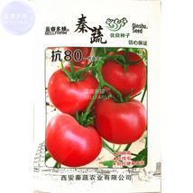 (for Red Hybrid F1 greenhouse) Big Seeds - £28.45 GBP