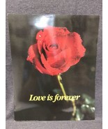 Vintage Poster Art Print Rose Love Is Forever 16”x20” NOS Thick Gloss Ca... - £10.98 GBP