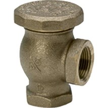 CHAMPION IRRIGATION PD 262-075Y Brass Vaccum Breaker, 3/4-Inch, Yellow - $27.56