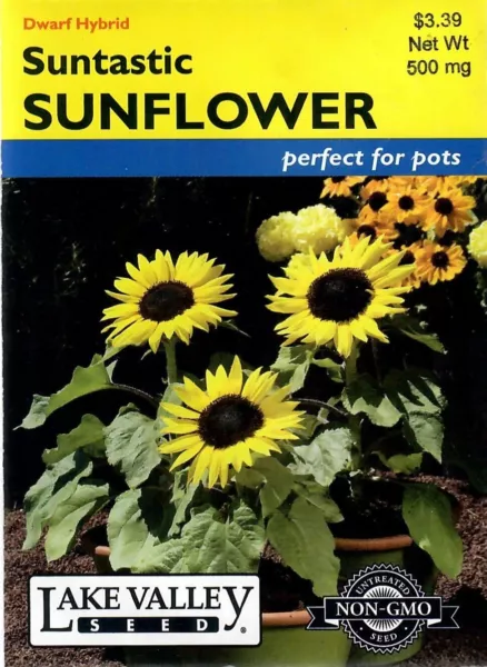 Sunflower Suntastic Non Gmo Flower Seeds Lake Valley 12/24 Fresh New - £9.11 GBP