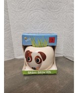 BUZZY CERAMIC GRASS SEED 7 DAY GROW KIT DOGS HOME SCHOOL SCIENCE PROJECT... - $4.85