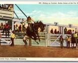 Bucking Bronco Rodeo Scene Frontier Days Cheyenne WY Wyoming WB Postcard K9 - $9.85