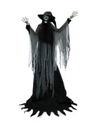 Haunted Hill Farm 7.5-Ft. Tall Macabre Skeleton Witch Motion-Activated T... - $238.72