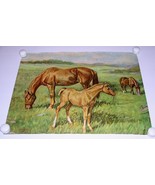 Ole Larsen Horse Lithograph Print G.F. 15448 Litho In U.S.A. Vintage 16&quot;... - $54.86 CAD