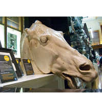 Horse head sculpture of Athens Acropolis Parthenon Selene Replica Reproduction - £1,954.86 GBP