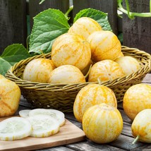 Lemon Cucumber 30 Seeds Round Cucumber Seeds Small Extra Sweet Fruit Usa Seller  - £8.91 GBP