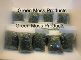 Preserved Moss 24 quart size bags fo floral moss decorations pixie fairy... - $69.99