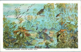 Submarine Gardens Catalina Island California Postcard - £8.72 GBP