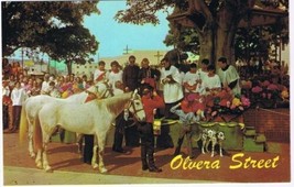 California Postcard Los Angeles Olvera Street Blessing Of The Animals - £2.42 GBP