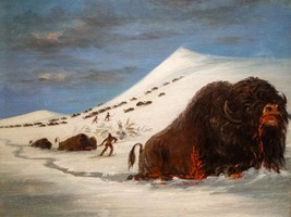 George Catlin Buffalo Hunt in Snow Shoes Native American Art + Ships Free - £30.66 GBP+