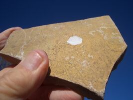 CARNOTITE URANIUM ROCK 8.0 OZ 35,900. CPM  JURASSIC CANYON  $32.00 +$12.... - $32.00