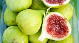 30 SEEDS WHITE FIG SWIFT HEIRLOOM SEEDS IDEAL FOR QUICK GARDENS - $8.35