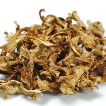 Chanterelle Mushrooms - Dried - 2 bags - 1 lb ea - £170.21 GBP