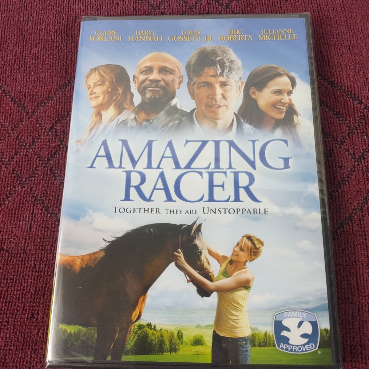 Amazing Racer - 2009 - Drama - Rated PG - DVD - New Sealed - $6.00