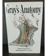 Gray&#39;s Anatomy - Gray, Henry - Hardcover - $15.47 CAD